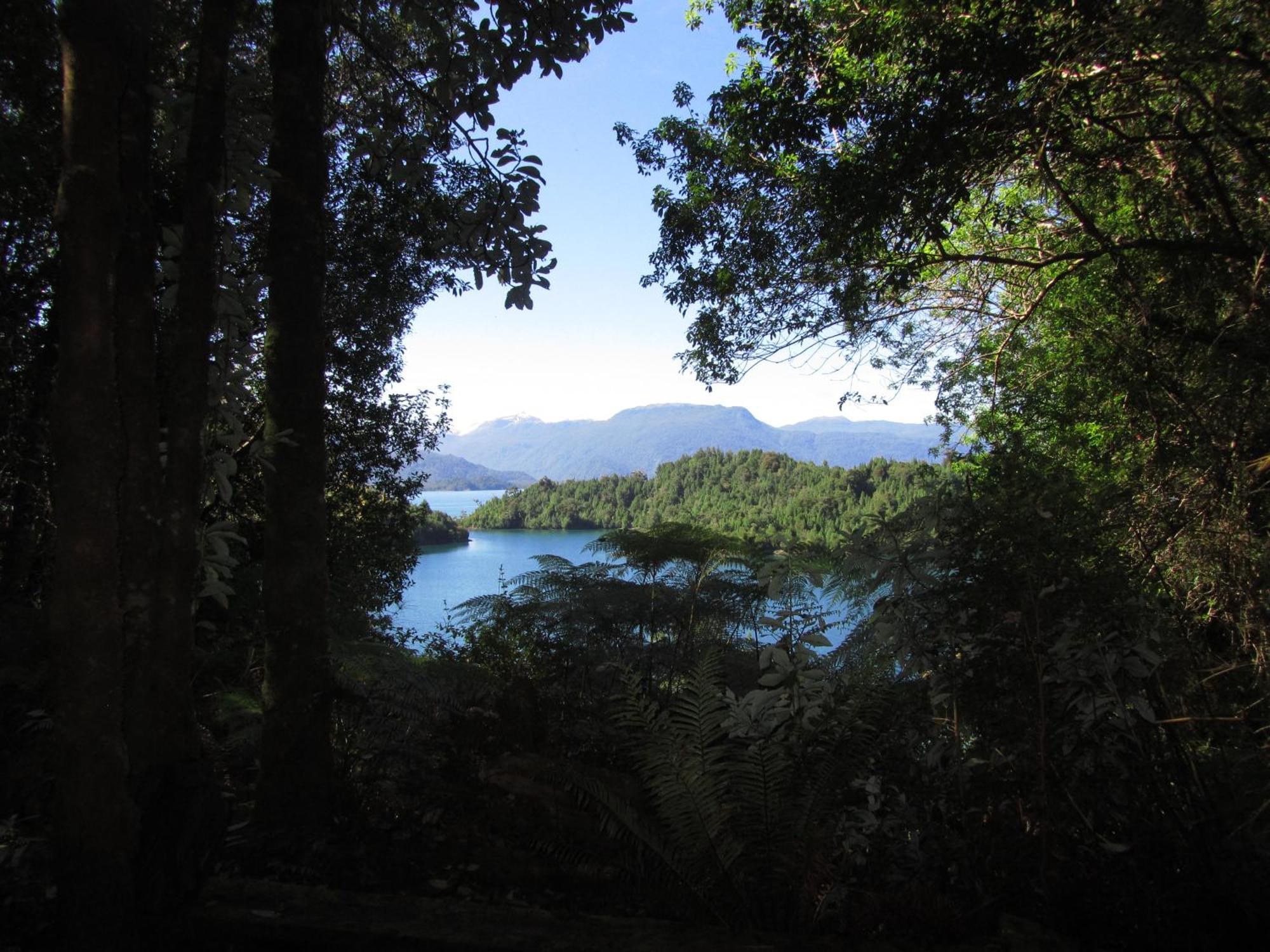 Cabanas Turin Puerto Puyuguapi Buitenkant foto